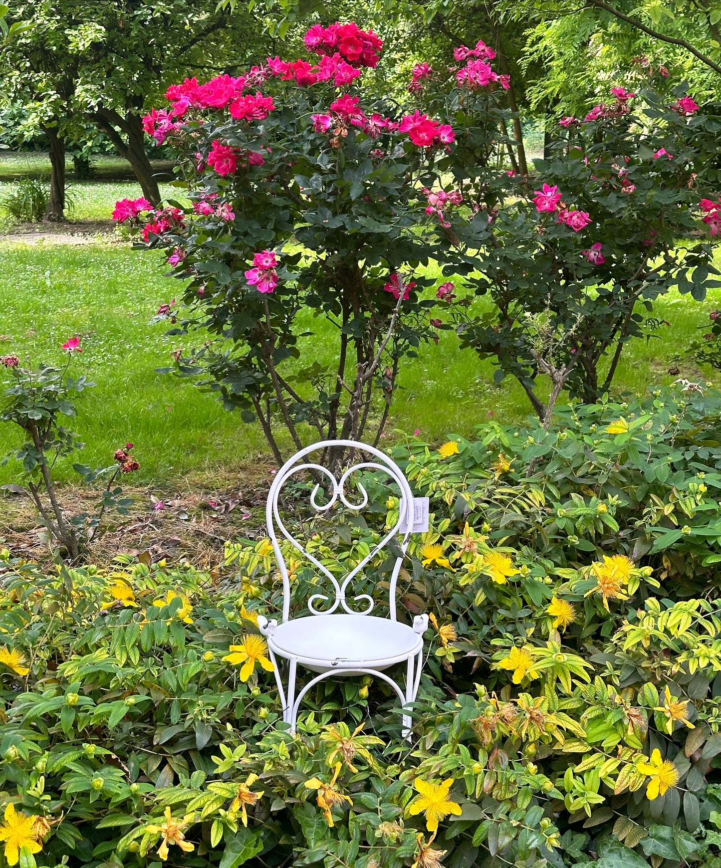 Seggiolina Da Giardino Mangiatoia O Porta Piante