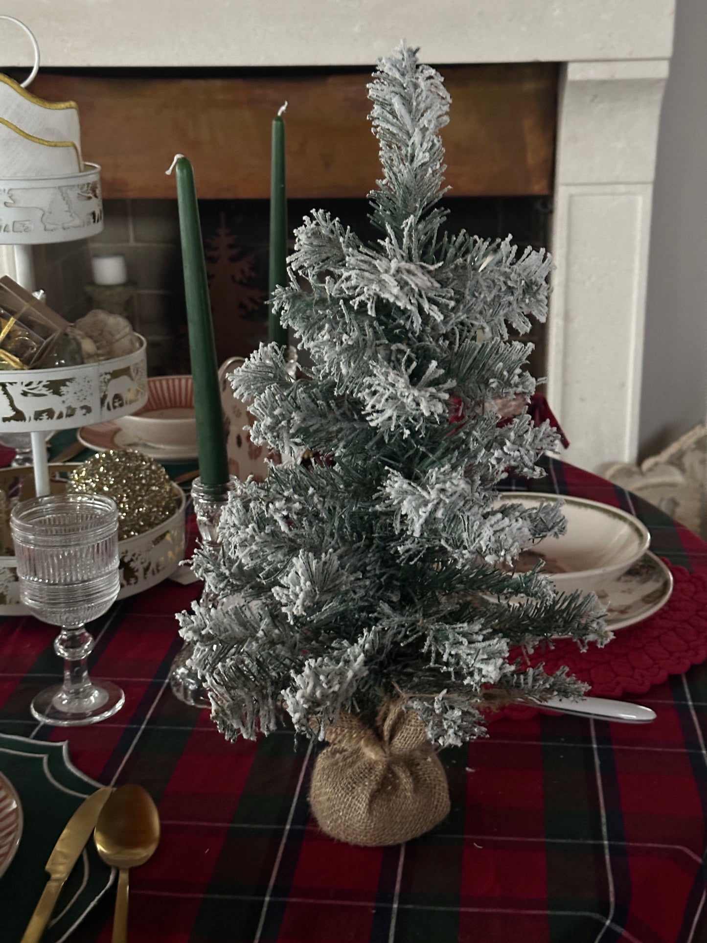 Albero Innevato Con Juta