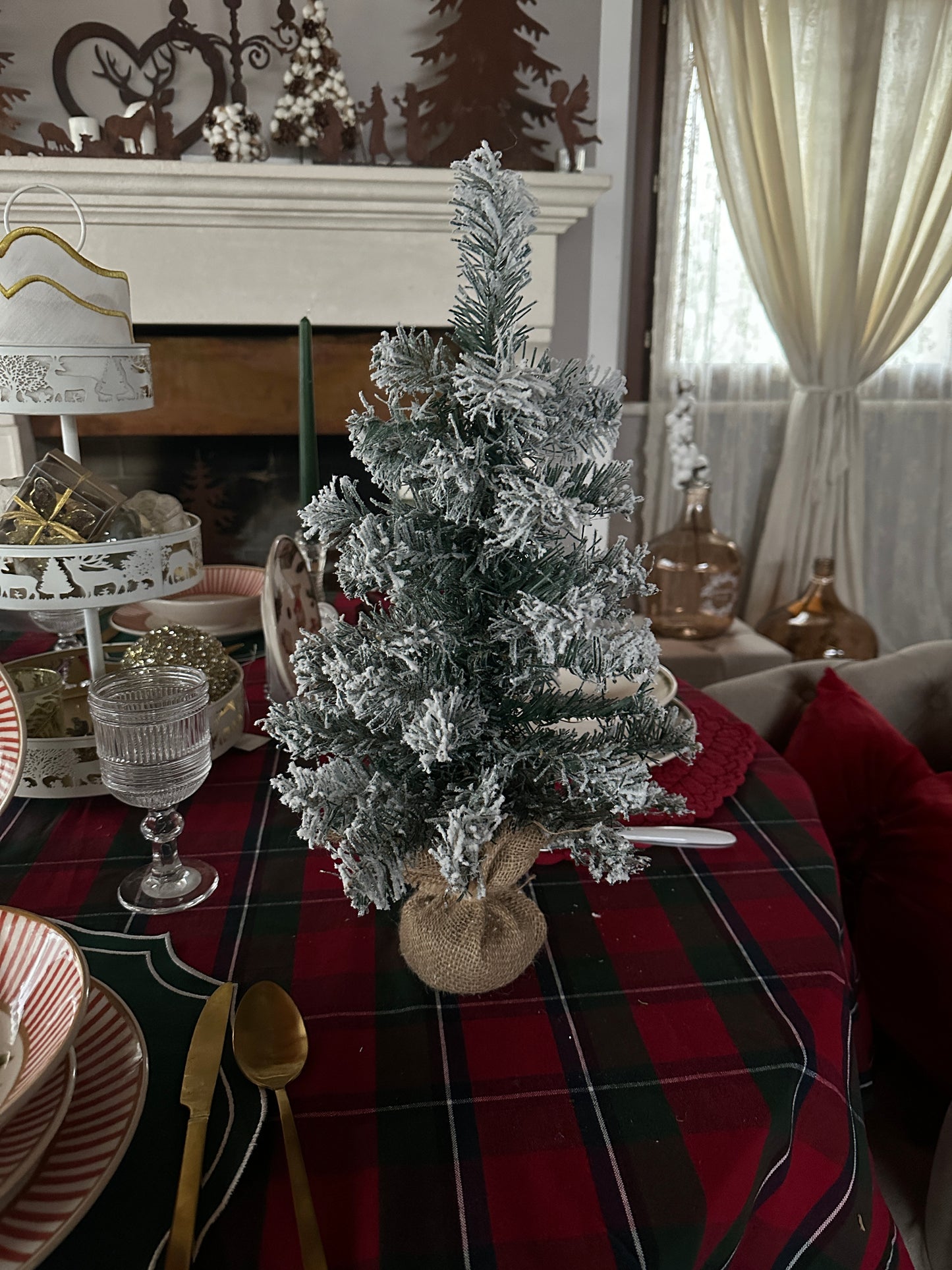 Albero Innevato Con Juta
