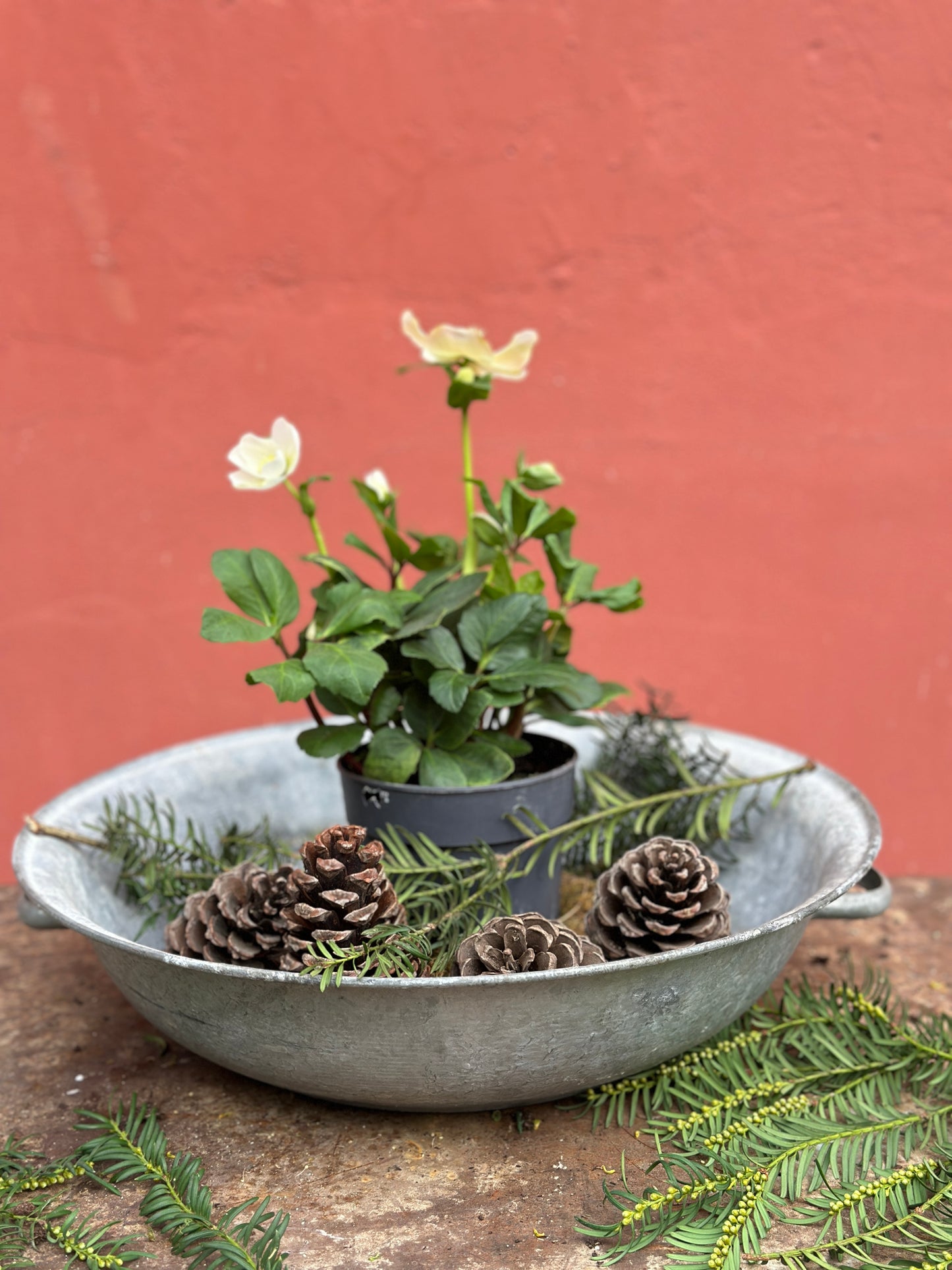 Vaschetta Rotonda Latta Con Maniglie