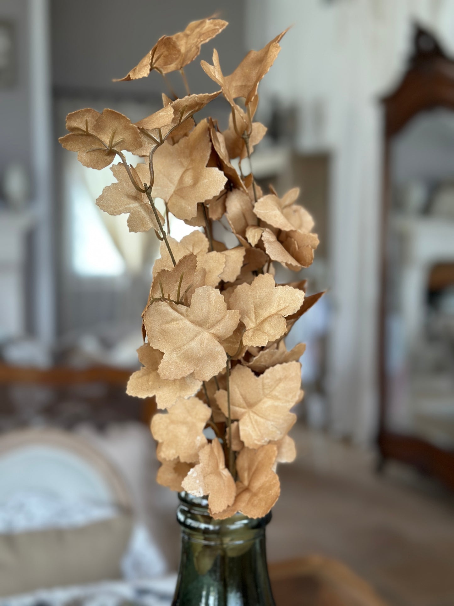 Ramo Edera Beige