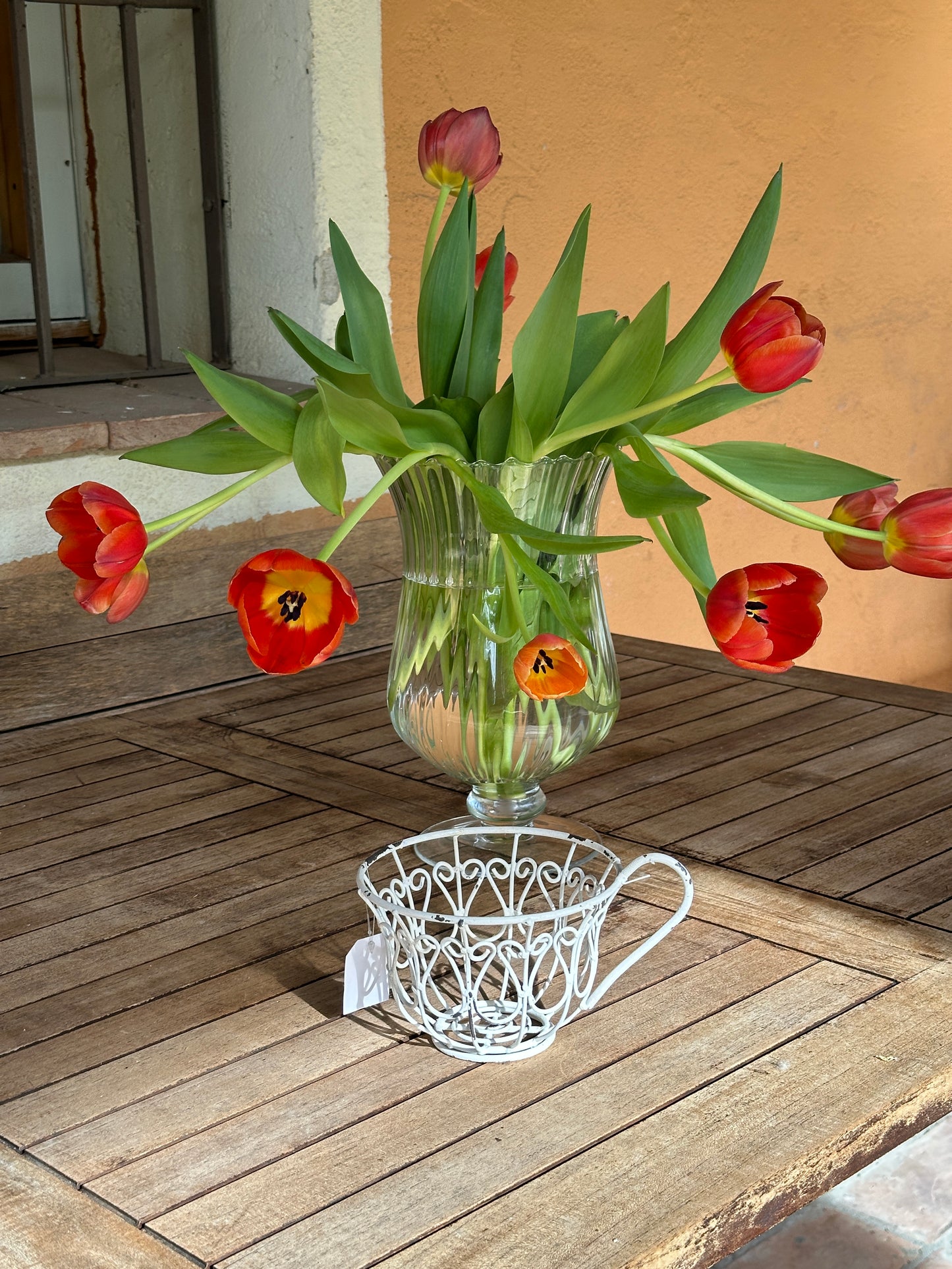 Tazza Decorata Porta Piante