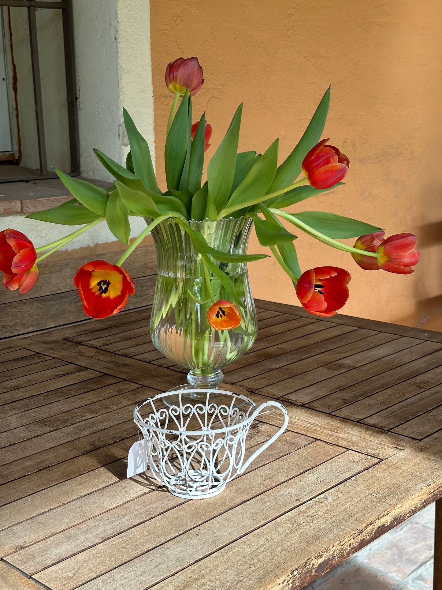 Tazza Decorata Porta Piante