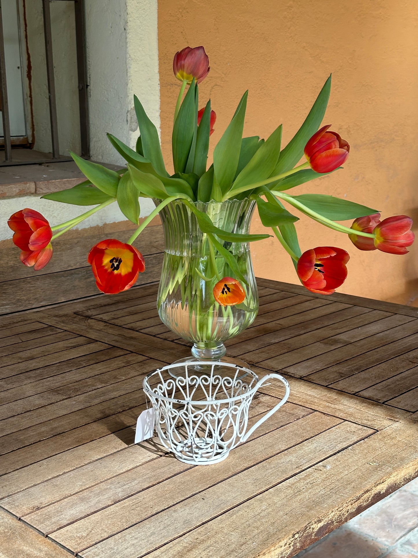 Tazza Decorata Porta Piante
