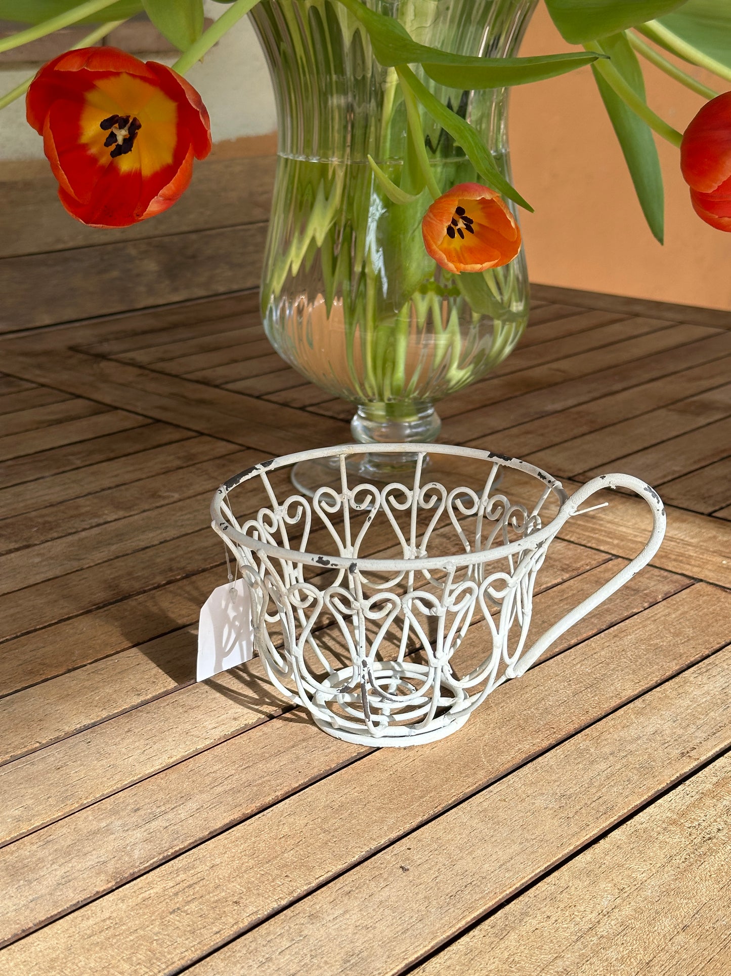 Tazza Decorata Porta Piante
