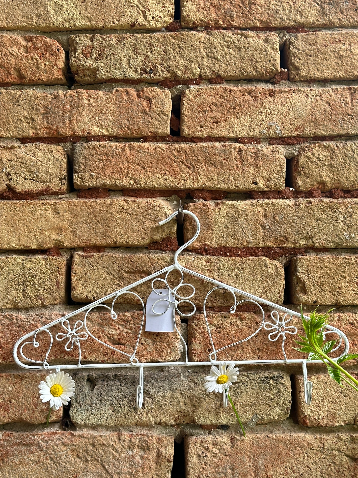 Appendiabiti Decorativo Con Ganci Bianco