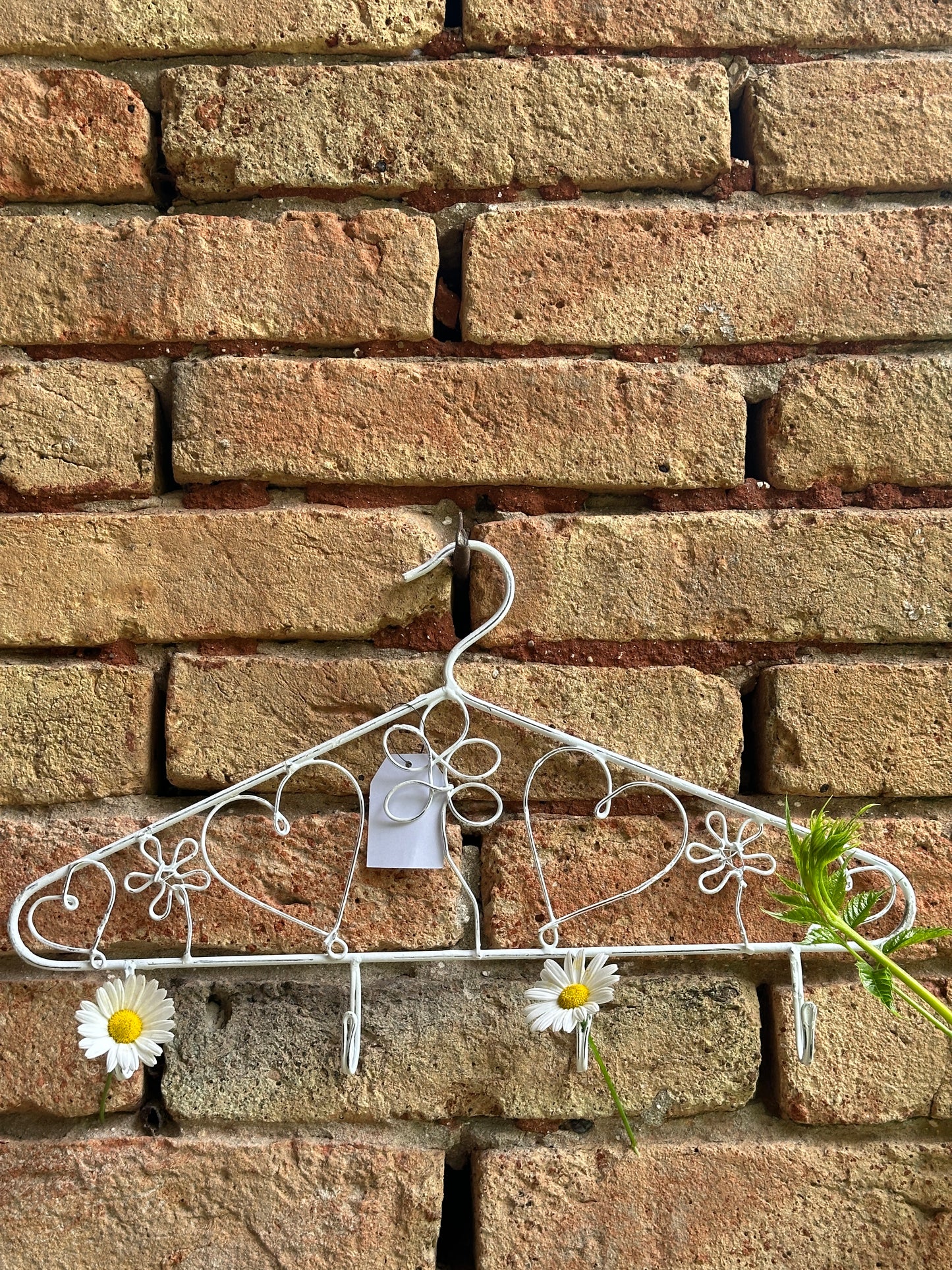 Appendiabiti Decorativo Con Ganci Bianco