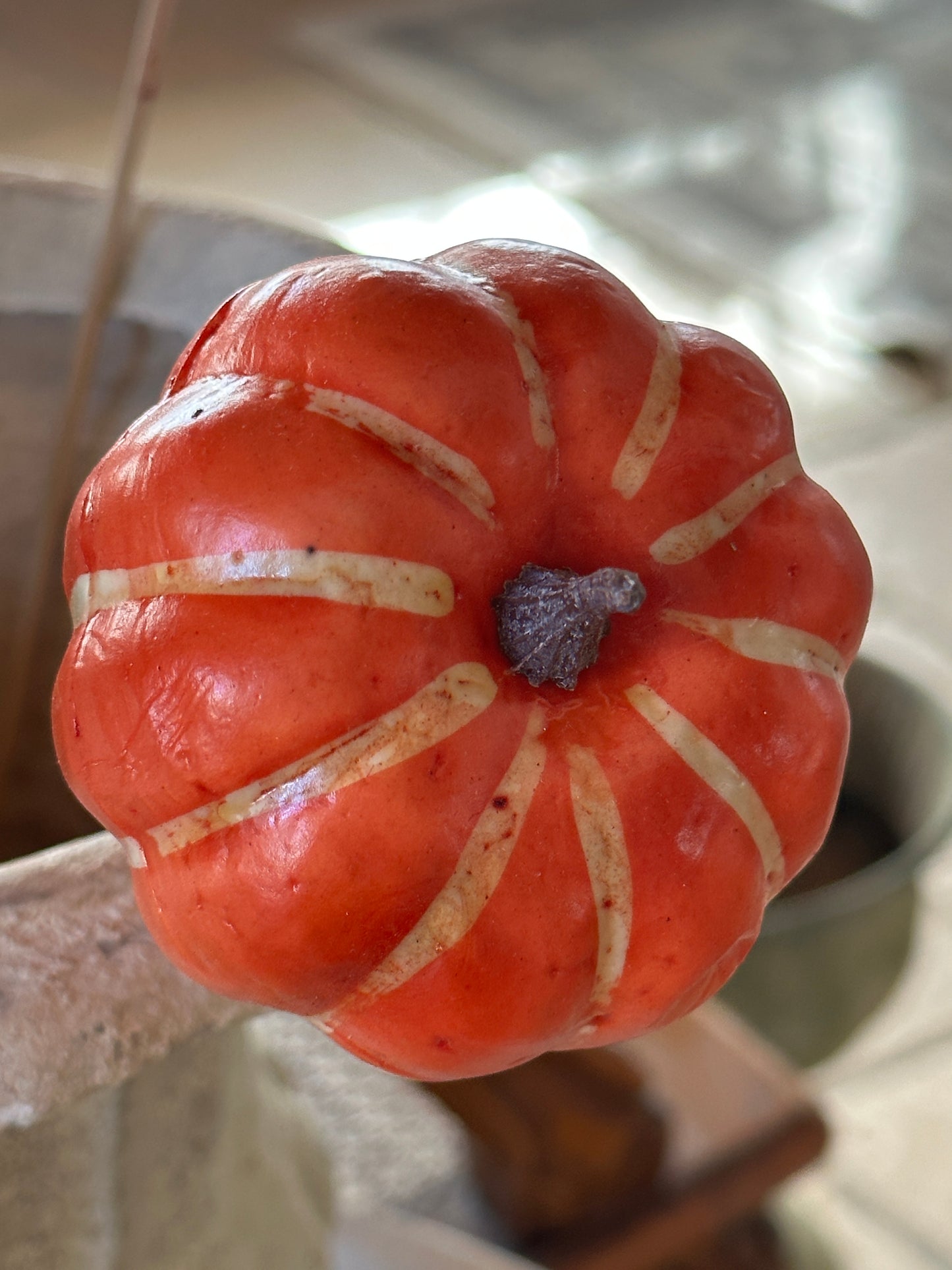 Zucca Con Bastoncino