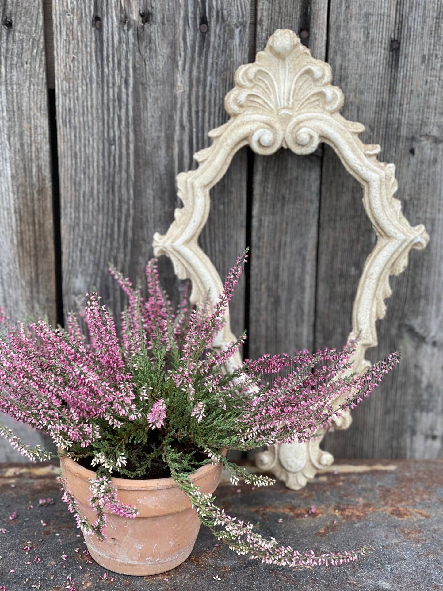 Cornice Con Punta