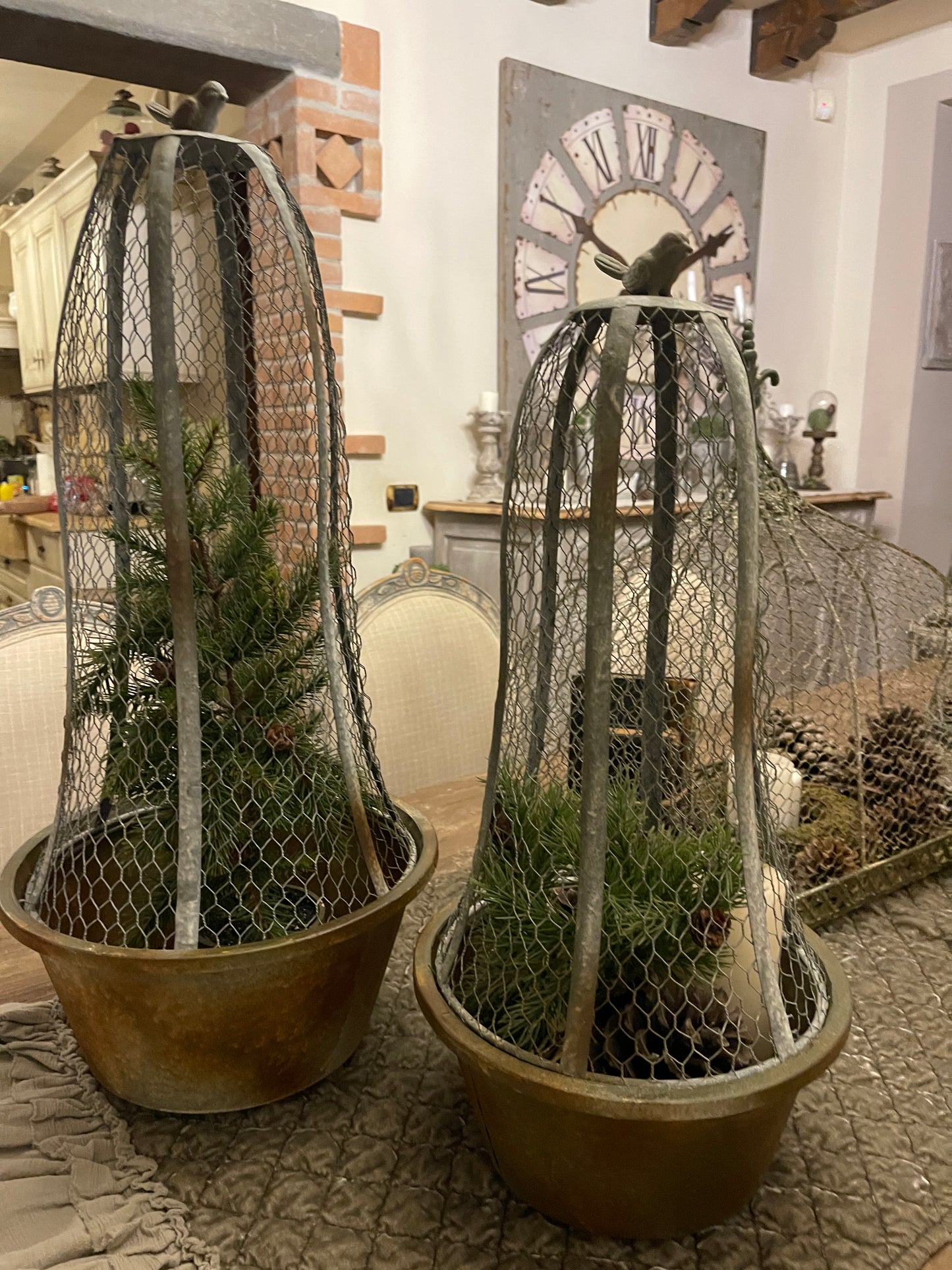 Gabbia Con Rete E Uccello