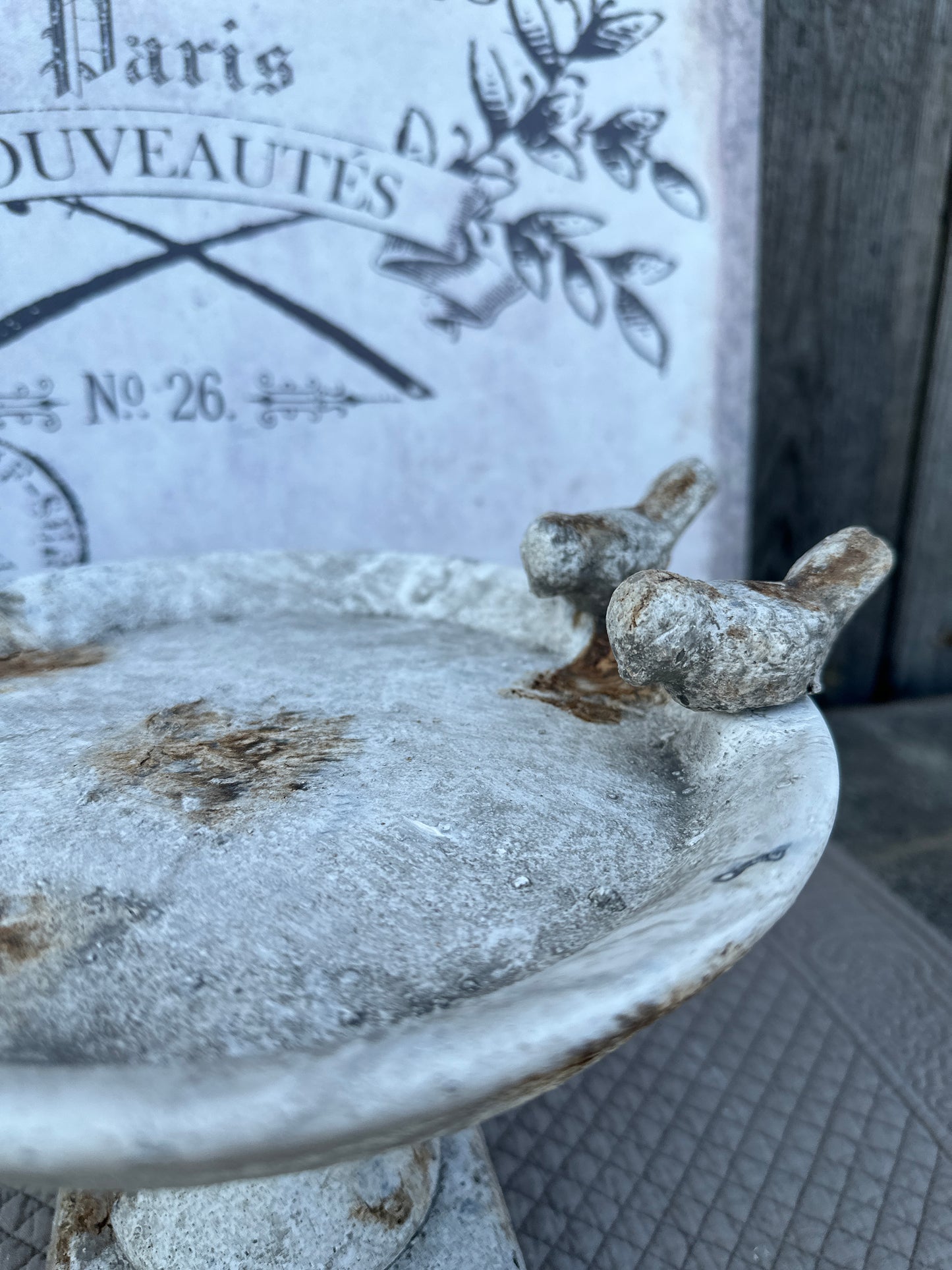 Mangiatoia Con Piedistallo Per Uccellini