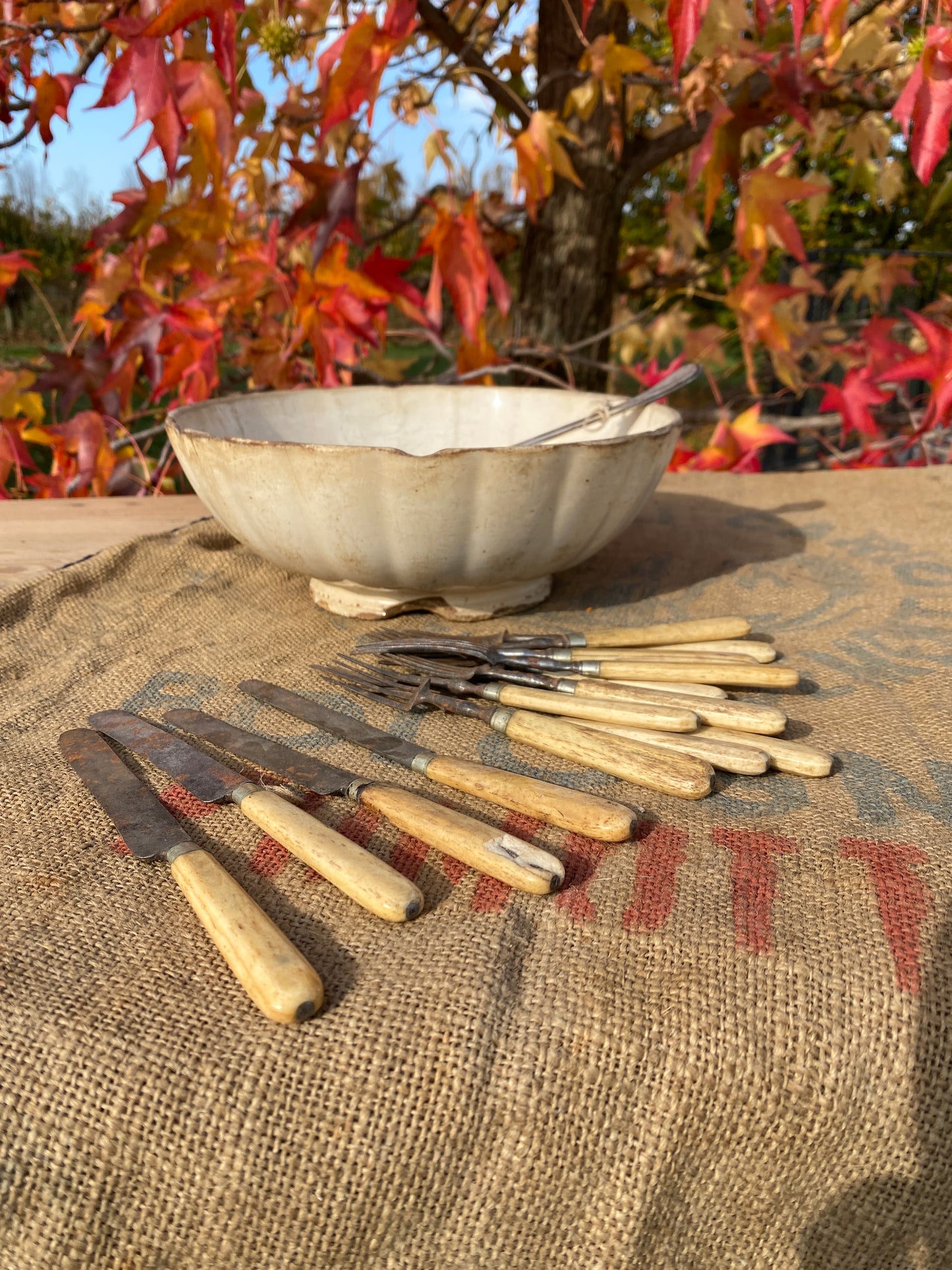 Posate Con Manico Di Plastica