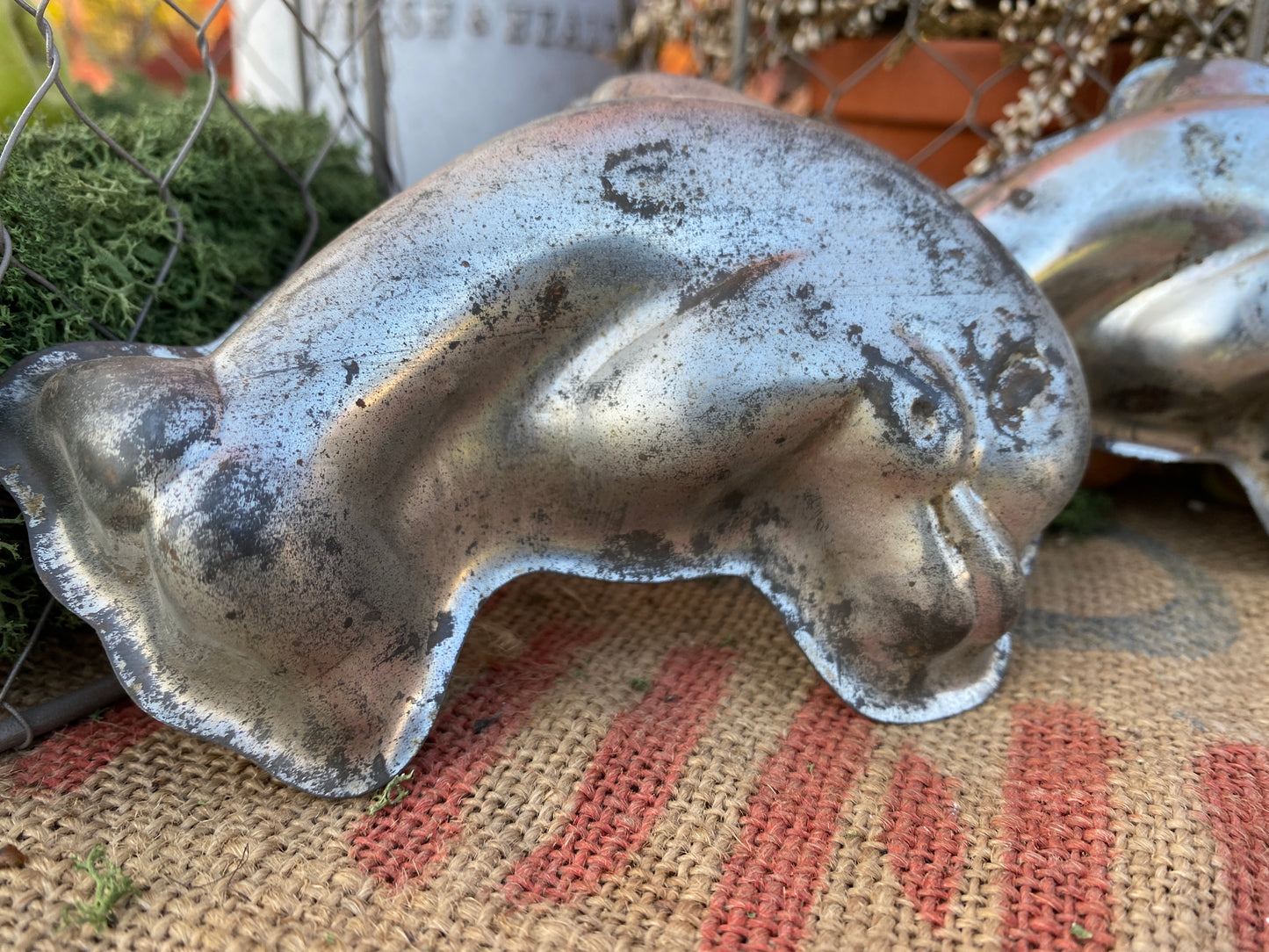 Formina Per Biscotti Delfino