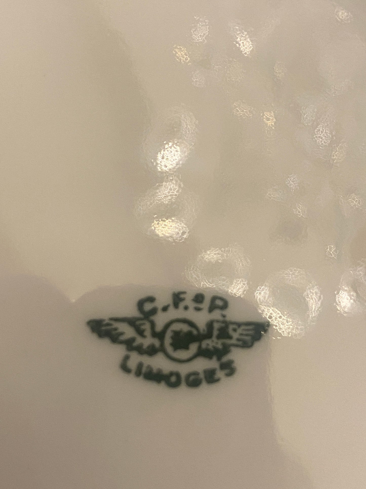 Servizio Piatti Antico Limoges Con Decori Floreali