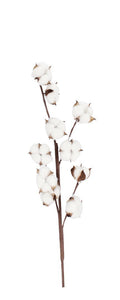 Ramo Fiore Cotone