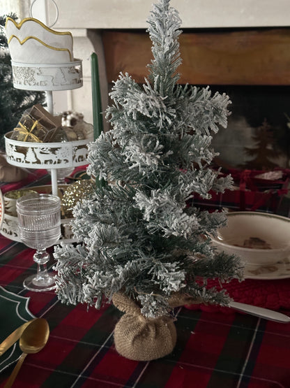 Albero Innevato Con Juta