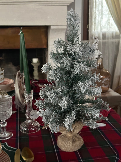 Albero Innevato Con Juta