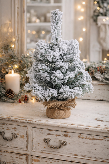 Albero Innevato Con Juta