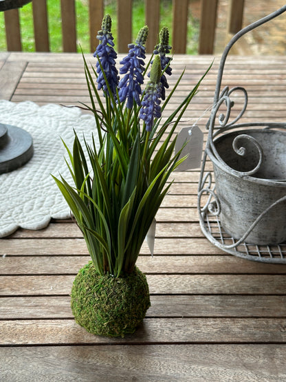 Lavanda Sintetica Con Muschio