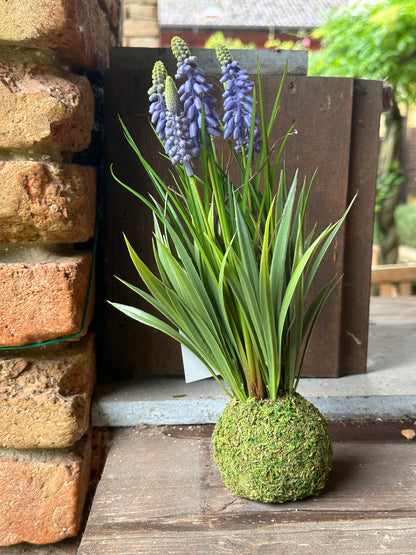 Lavanda Sintetica Con Muschio