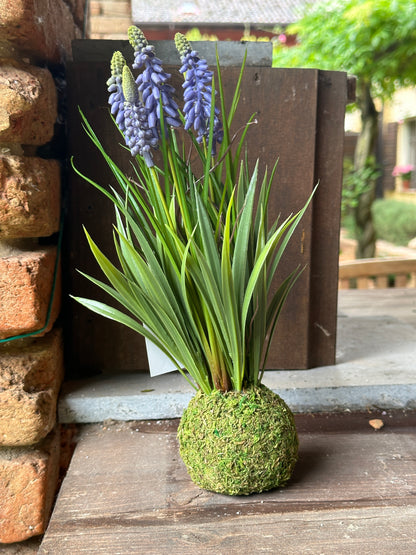 Lavanda Sintetica Con Muschio