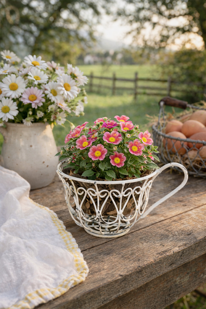 Tazza Decorata Porta Piante