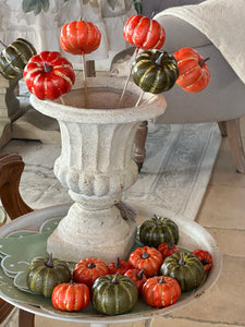 Zucca Con Bastoncino