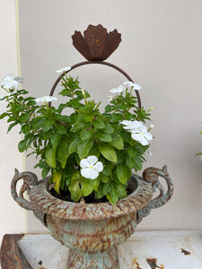 Decorazione Con Anello E Rosa