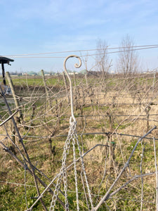 Vaso Porta Pianta Da Appendere