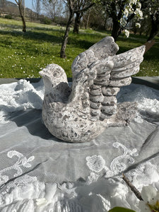 Decoro Colomba