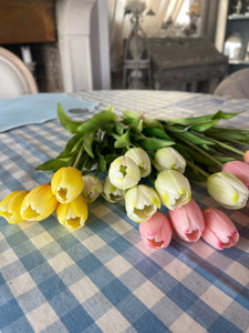 Mazzo Tulipani