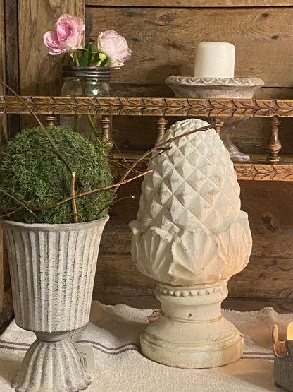 Pigna Con Piedistallo E Conchiglie