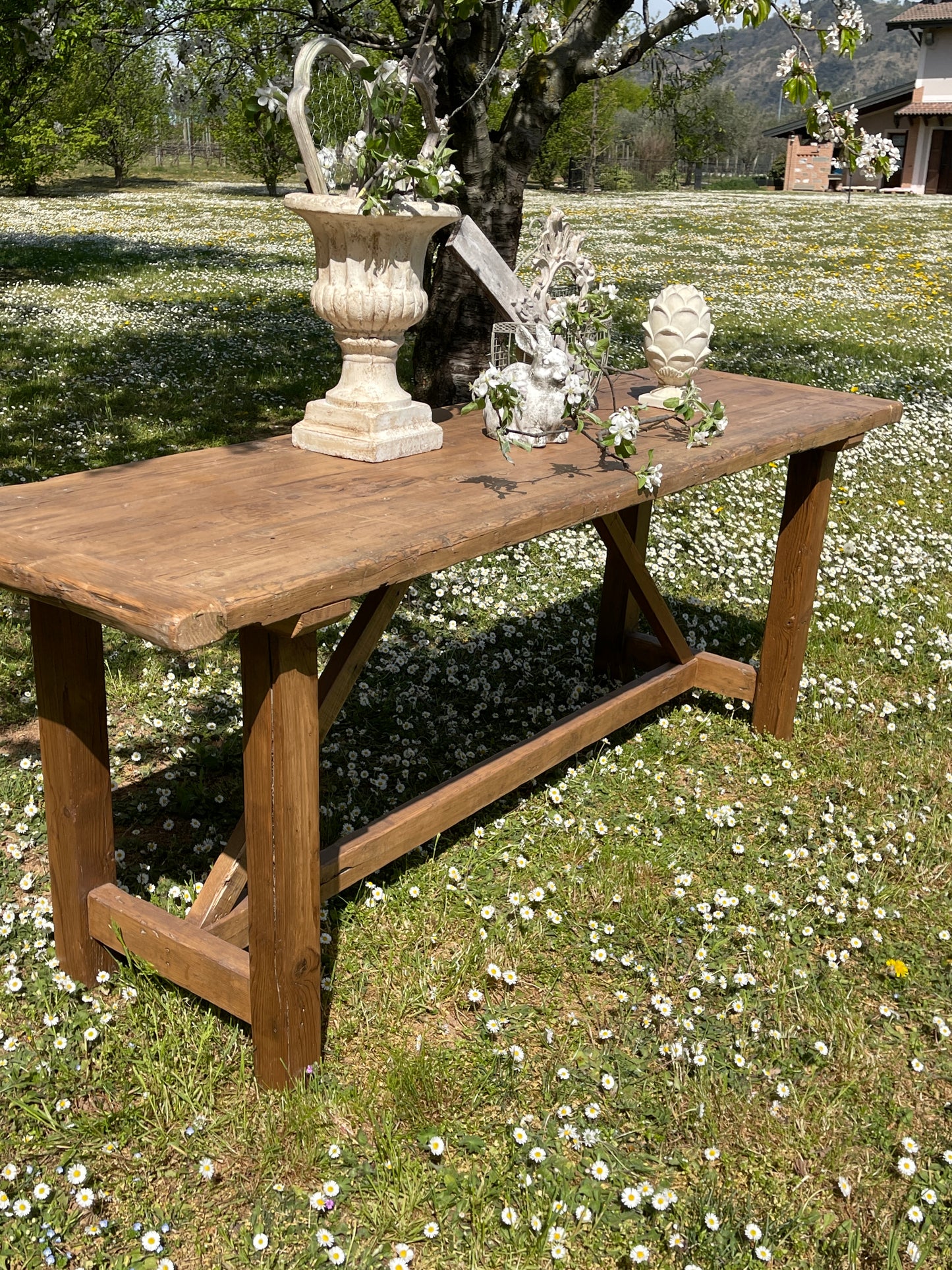 Bancone In Legno Di Abete