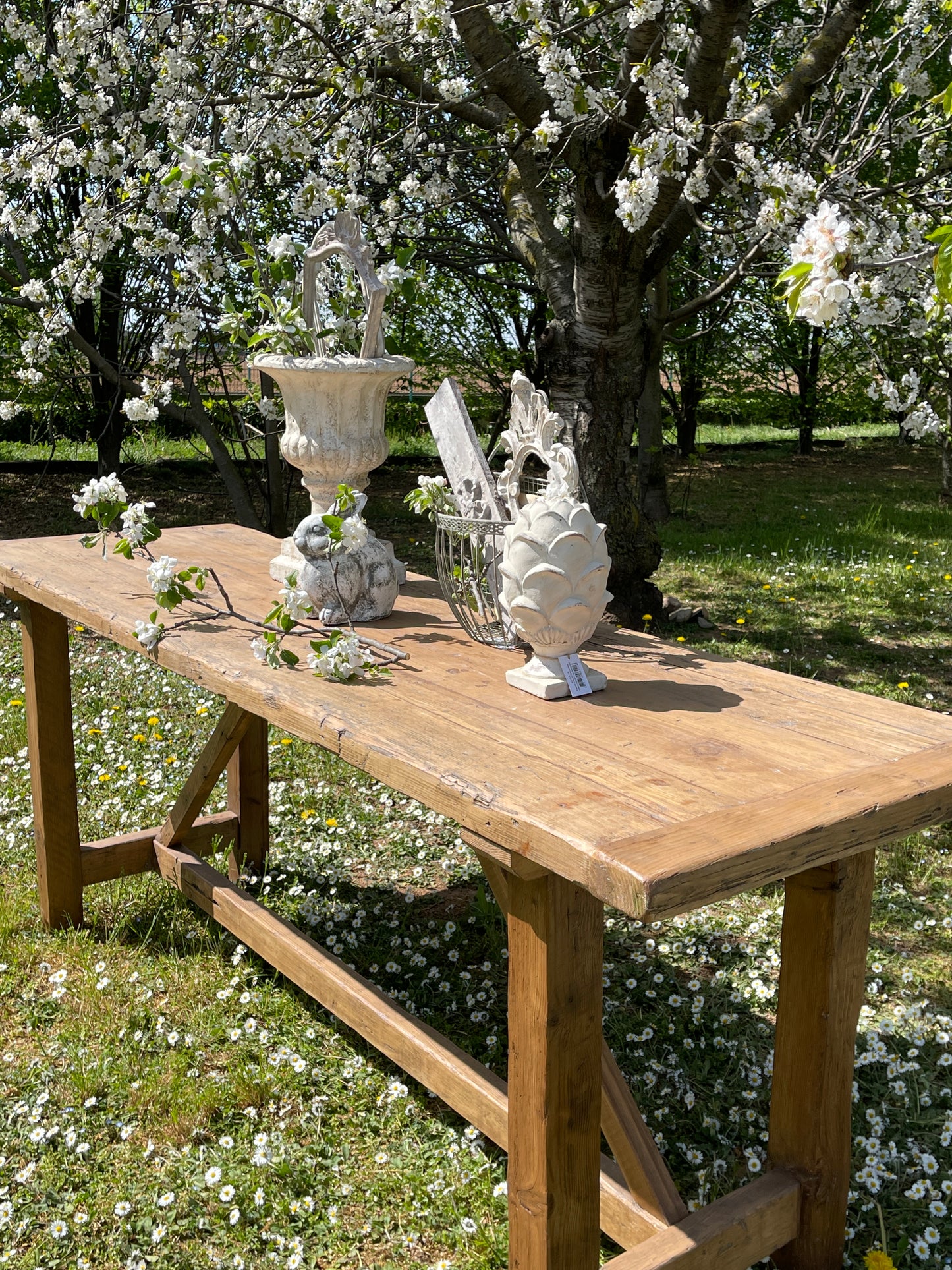 Bancone In Legno Di Abete