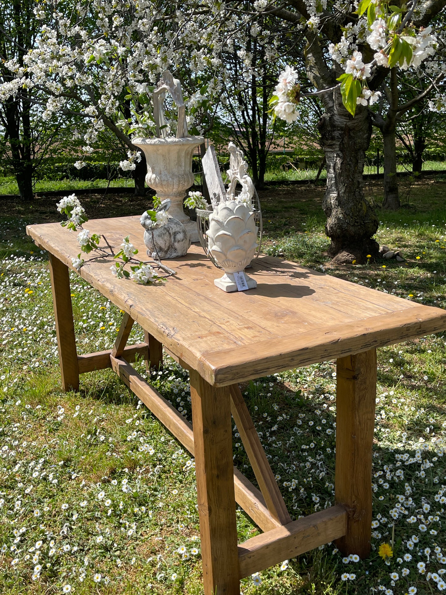 Bancone In Legno Di Abete