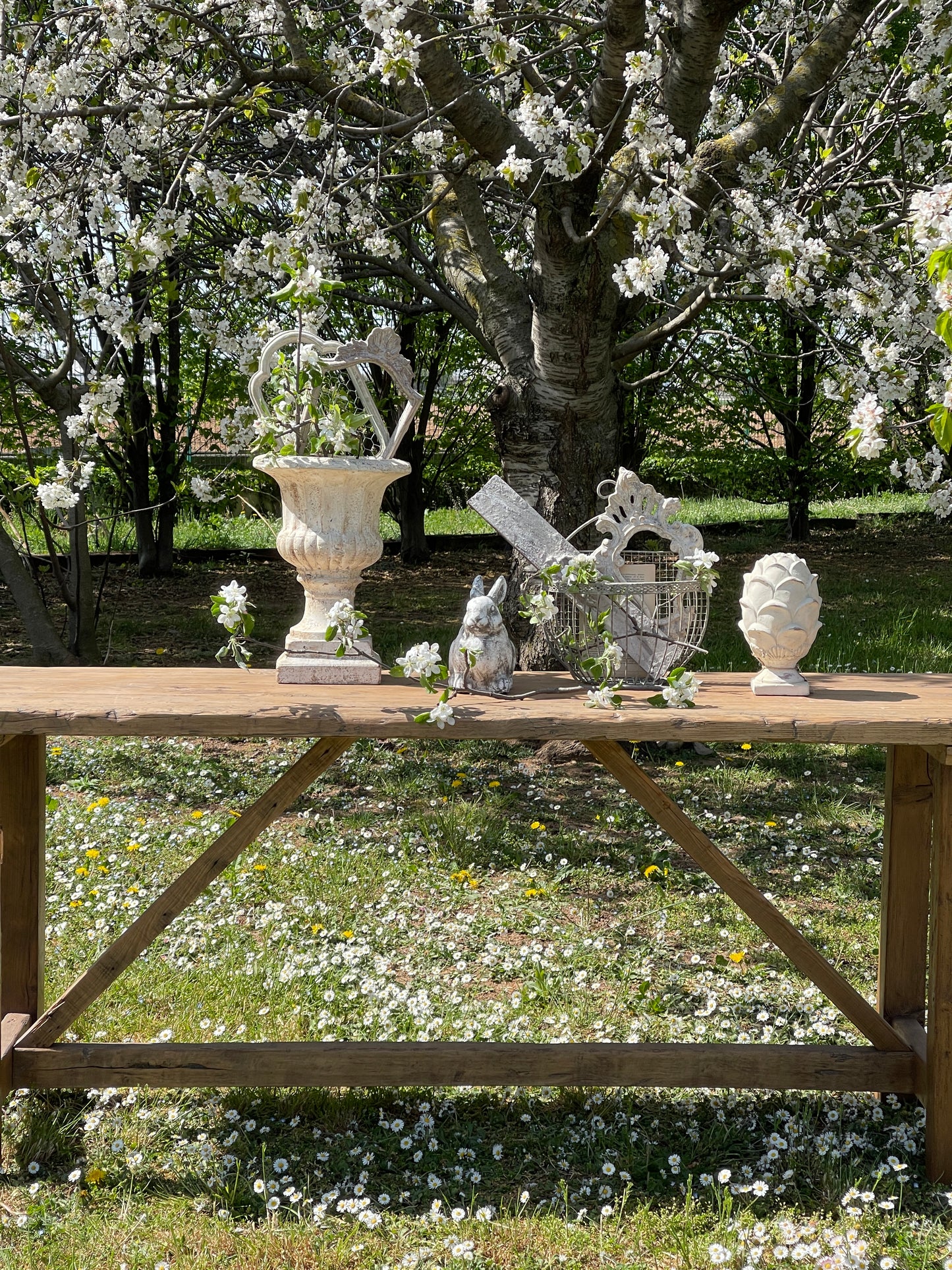 Bancone In Legno Di Abete