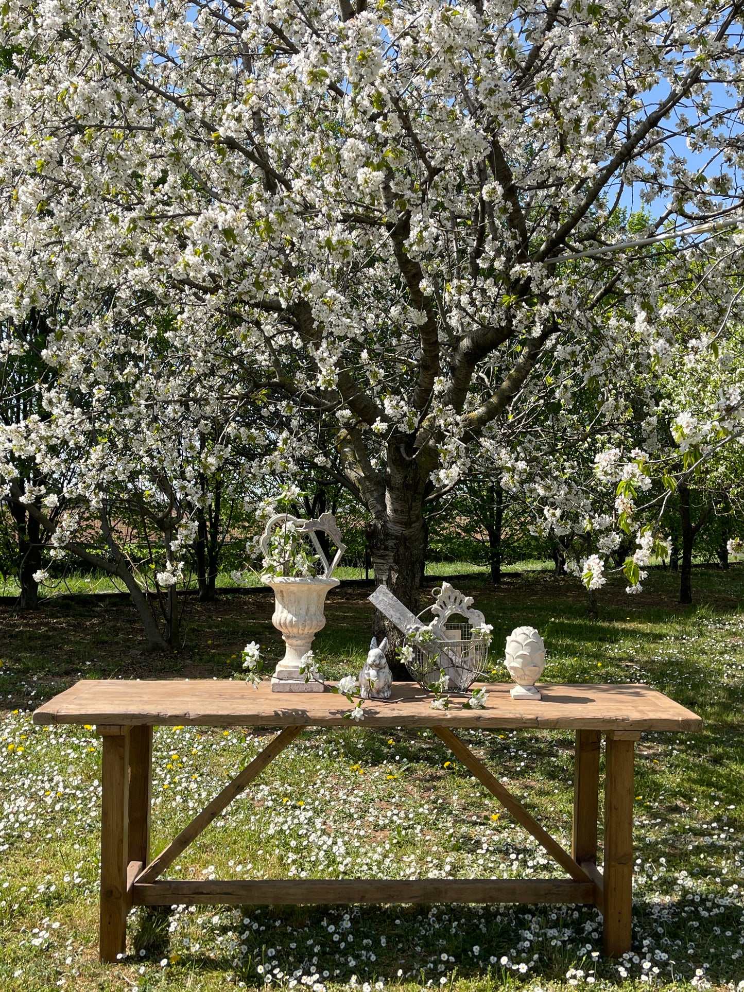 Bancone In Legno Di Abete