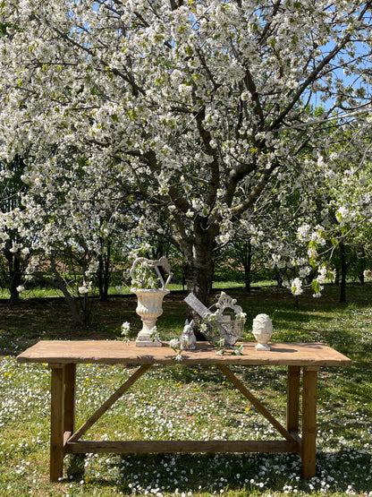 Bancone In Legno Di Abete